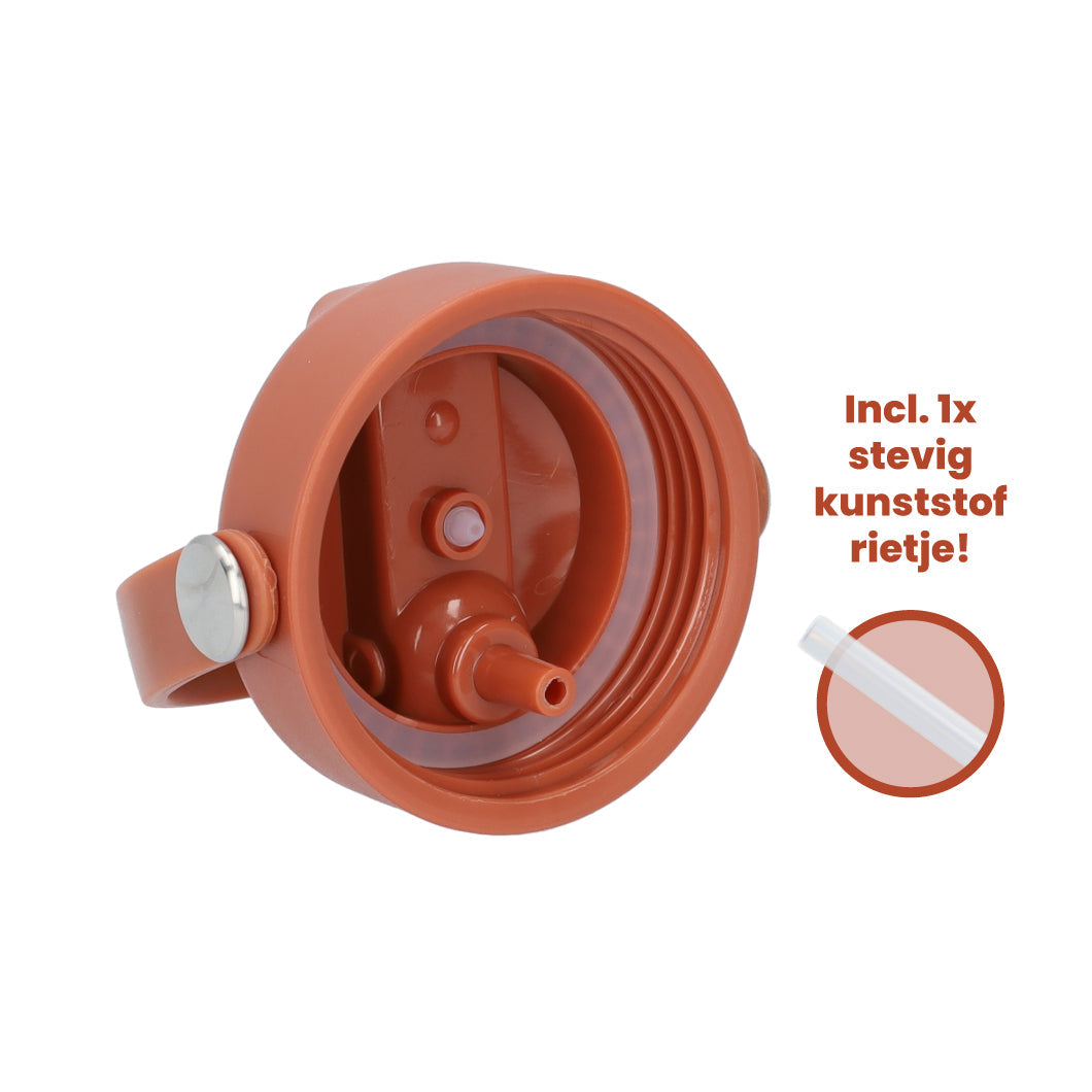Thermos waterfles 1 liter - Isolerende Waterfles met Draaibare Drinktuit - Brick Red