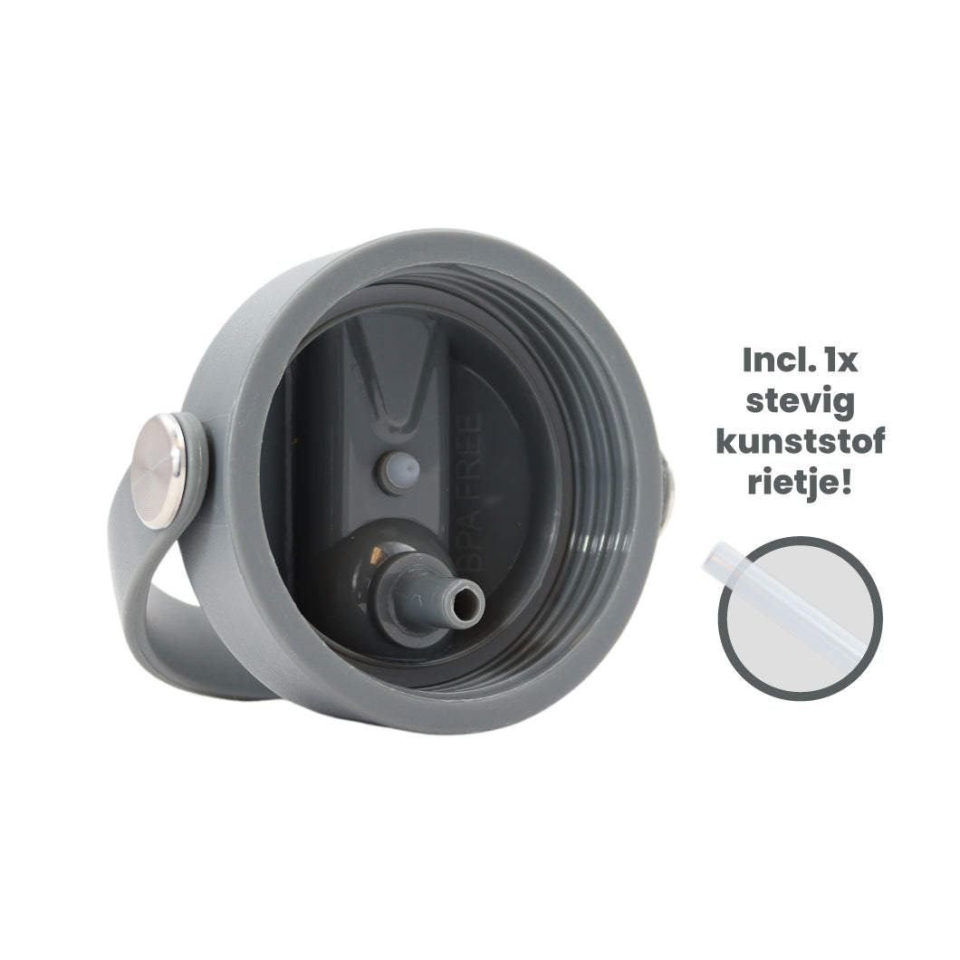 Thermos waterfles 1 liter - Isolerende Waterfles met Draaibare Drinktuit - Grijs