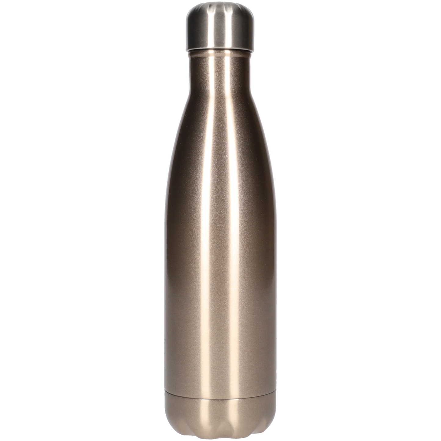 FBFS14, Thermosfles, Drinkfles, Waterfles - 500ml - Sparkly Chrome - Glinsterend Metaal