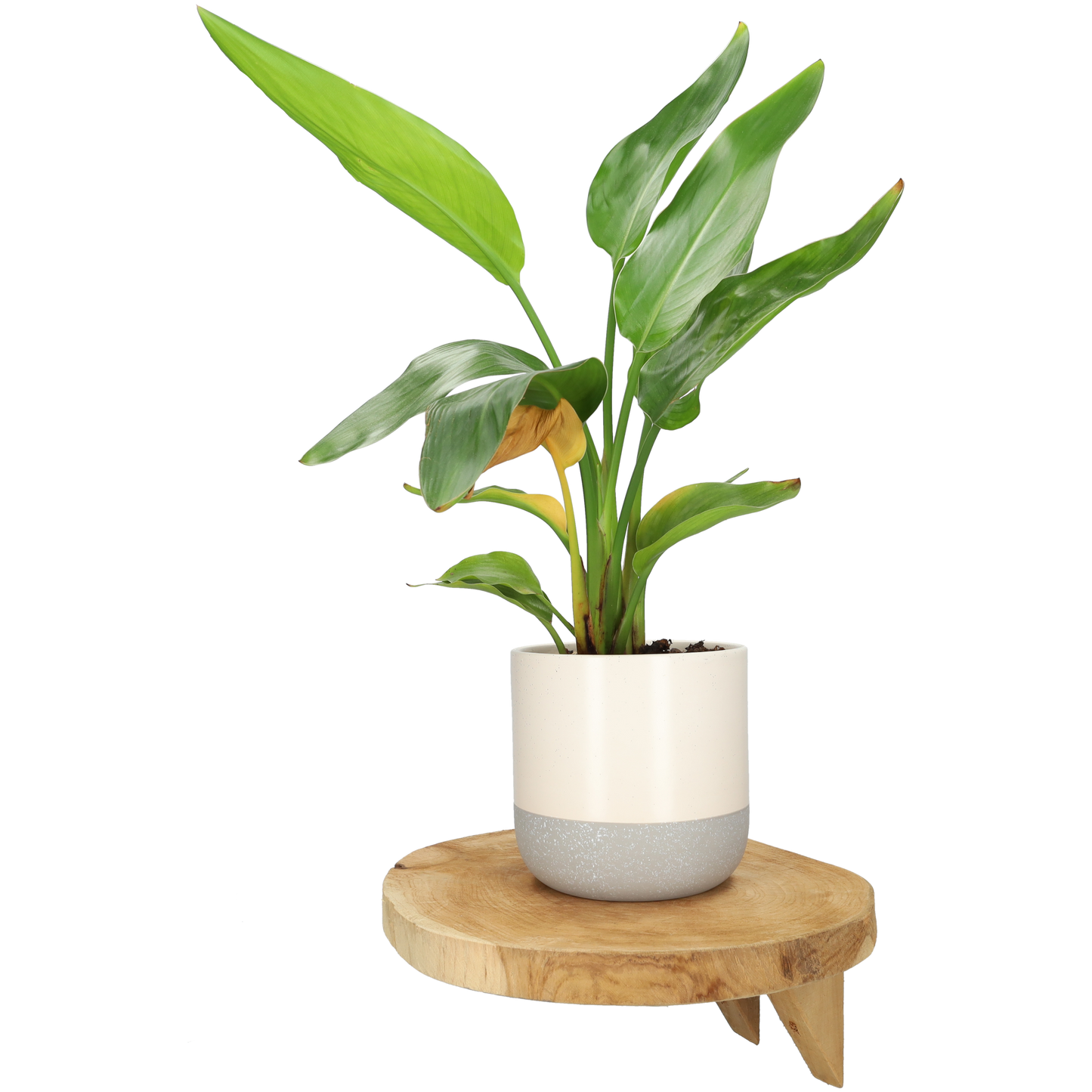 Wandplank van hout - Leuke sfeermaker - Huis decoratie