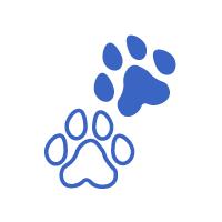 Dieren